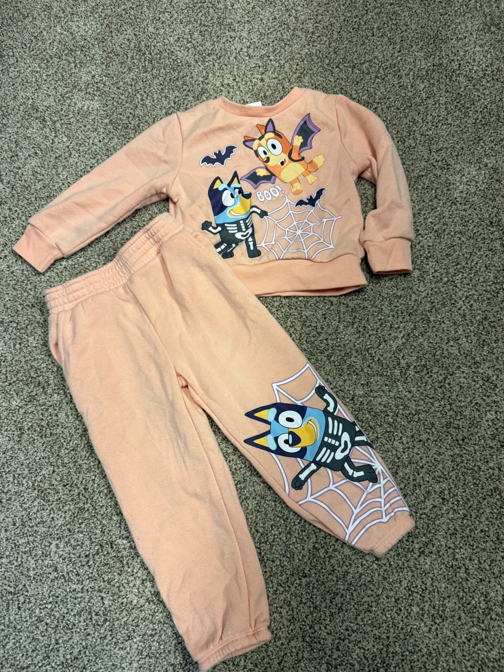 Bluey Peach Halloween Kids Matching Set 2T